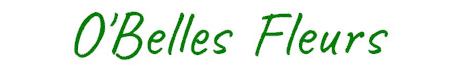 CUSTOM DESIGNED: O'Belles Fleurs