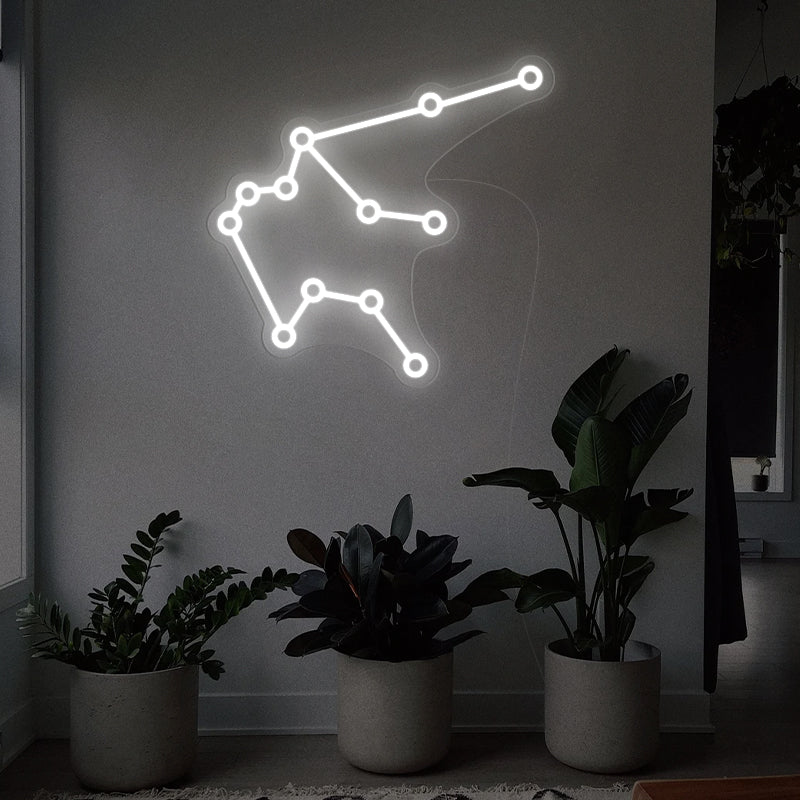 Aquarius Constellation Neon Light For Wall Decor